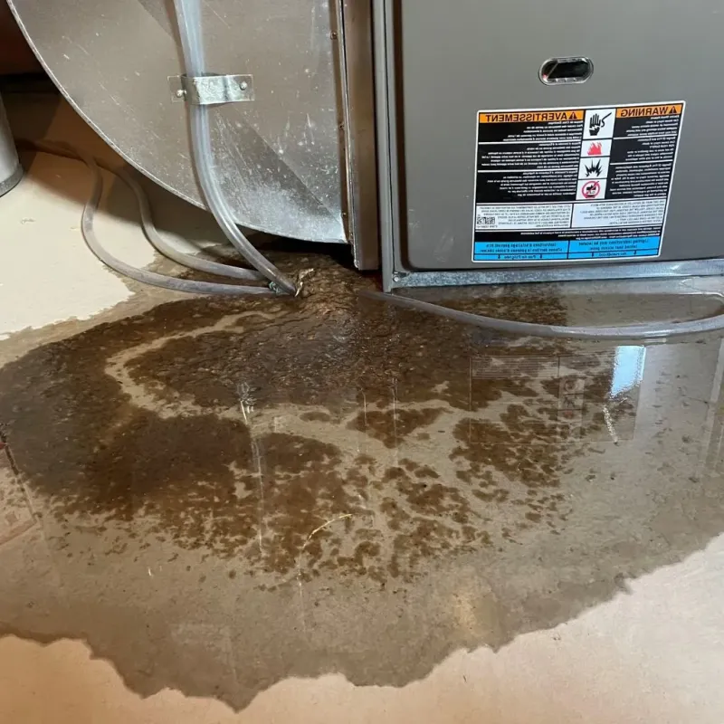 Pipe Burst and Leak Restoration in Terre Haute, MO