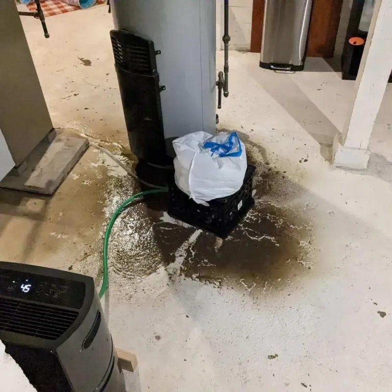 Sewage Backup Cleanup Service in Terre Haute, MO